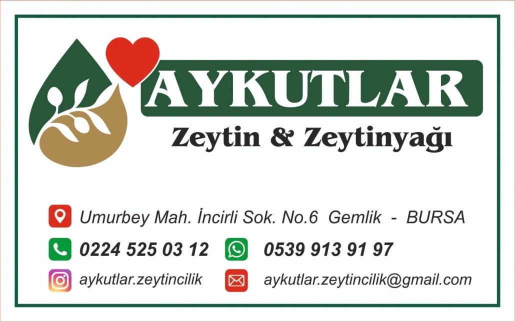 Gemlik Aykutlar Zeytincilik
