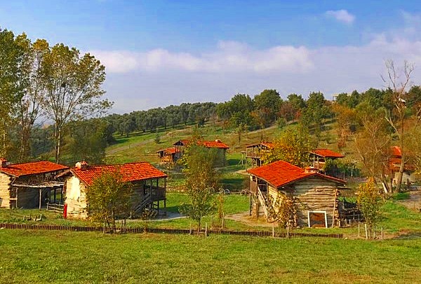 Açık hava müzesi