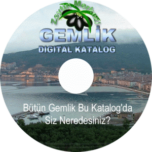 Gemlik Cadde ve Sokakları yayında