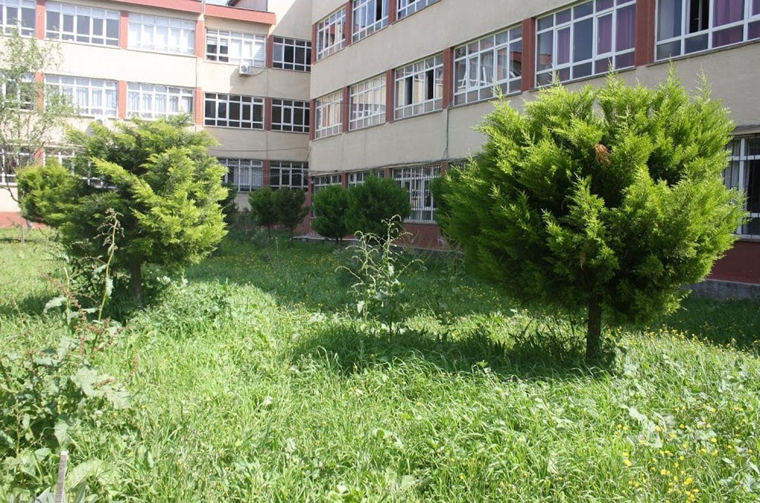 Gemlik İlkokul Ortaokul ve Liseler