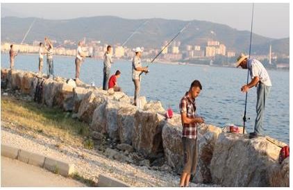 Fotoğraf 2.14. Gemlik Körfezi Çevresinde Olta Balıkçılığı.