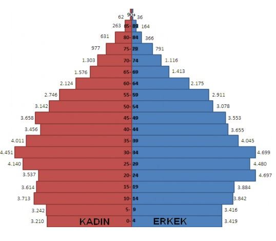 Şekil 1.19. Araştırma Sahası Nüfusunun Dar Aralıklı Gruplandırmaya Göre Dağılımı.